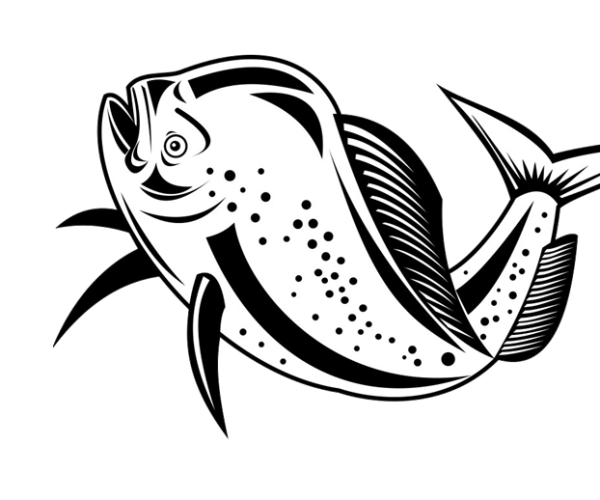 Calabash Fishing Fleet | Public, Private Charters, Dolphin and Sunset Cruises | Calabash, NCCharters, Dolphin and Sunset Cruises | Calabash, NC